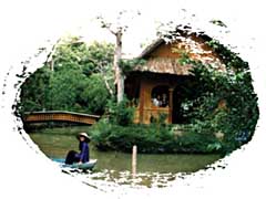 Ho nuoc trong vuon